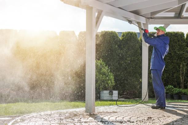 Best Rust Removal  in Homer, MI
